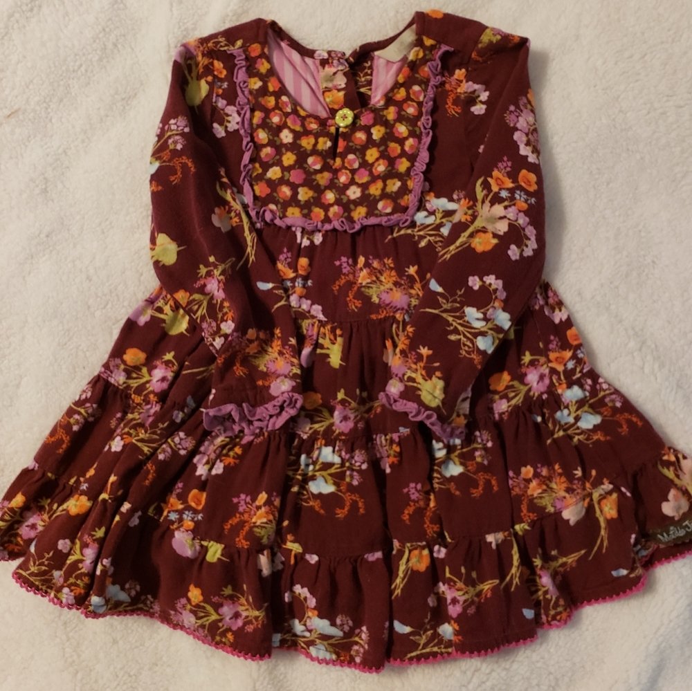Adorable Lined Matilda Jane Fall dress Size 2